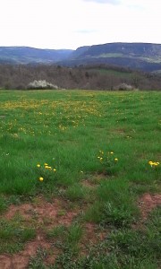 IMG_20160416_151520